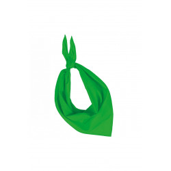 Fiesta - Bandana vert personnalisable k-UP