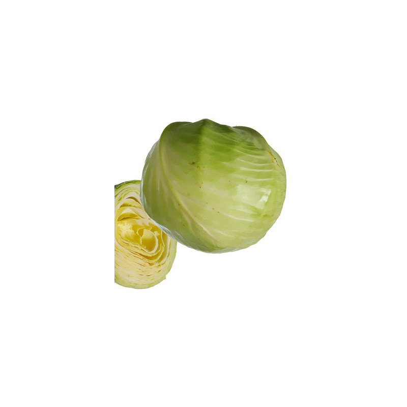 Chou blanc 1p