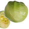 Chou blanc 1p
