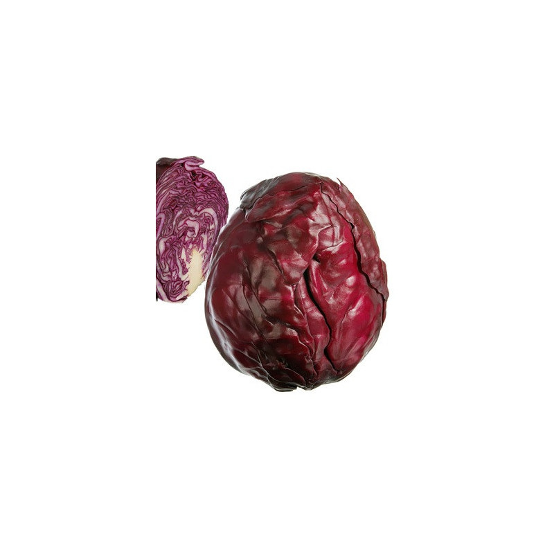 Chou rouge 1p