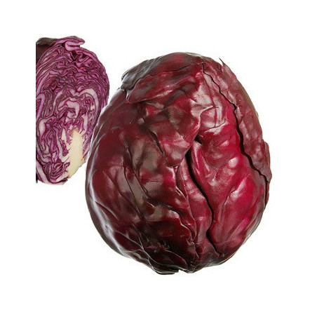 Chou rouge 1p