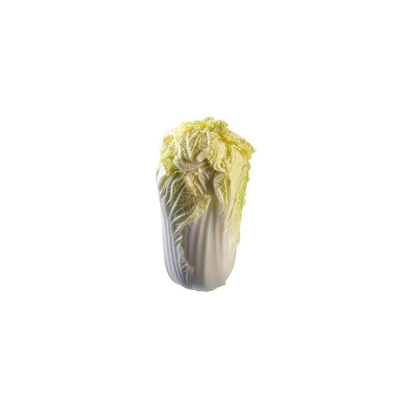 Chou chinois 1p