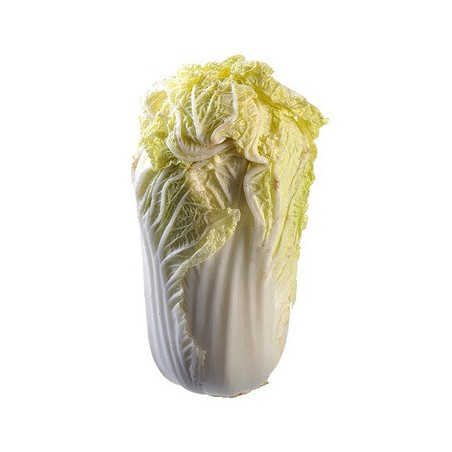 Chou chinois 1p