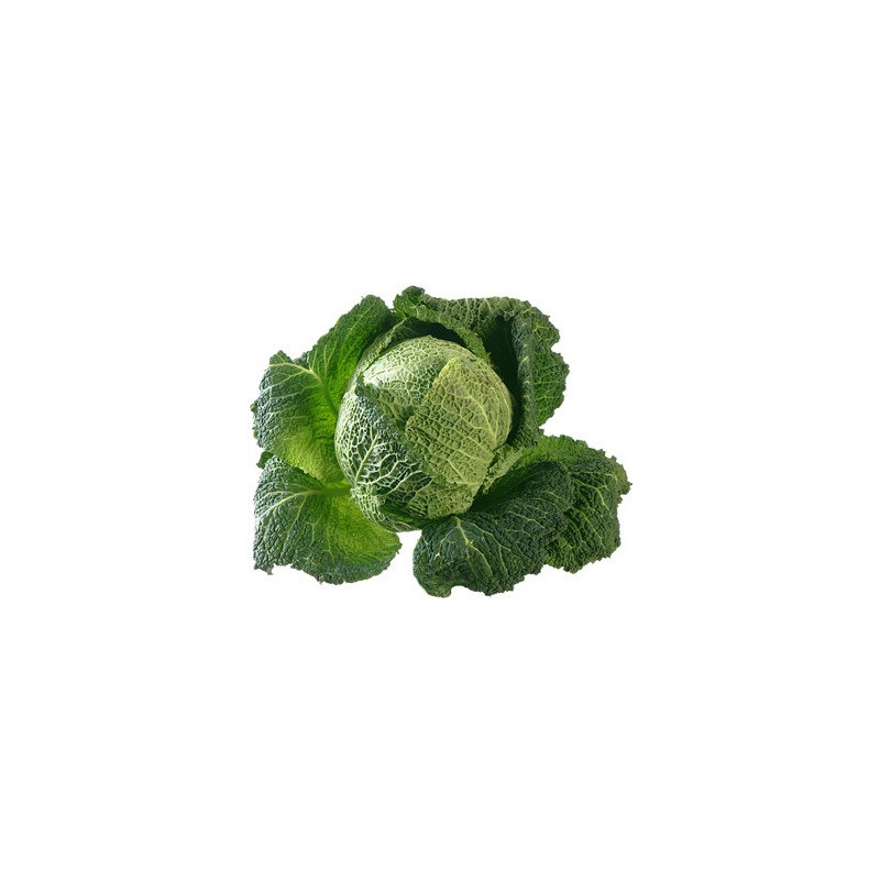 Chou frisé 1p