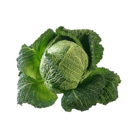 Chou frisé 1p